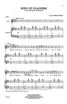 Song Of Gladness von Allan Robert PetkerAllan Robert Petker 