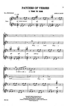 Patches Of Verses von Anita DavisAnita Davis 