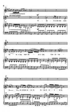 Fidelia Omnia von T. Shelton 