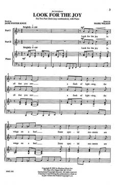 Look for The Joy von Mark Wilson 