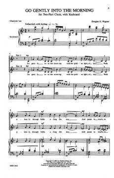 Go Gently Into The Morning von Douglas E. Wagner 