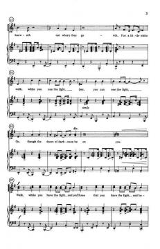 Walk, While You Have The Light von Hank Beebe 