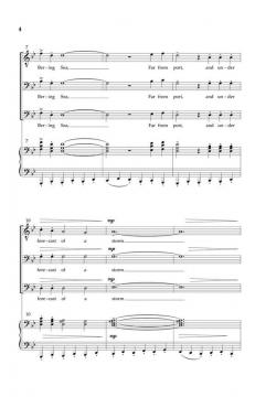 The Storm von Dan Davison 