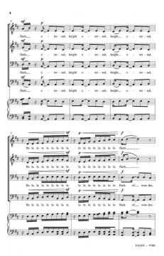 Flight von Daniel Elder 