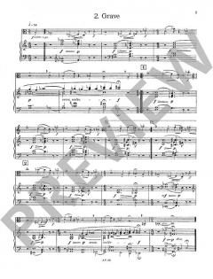 Thema mit Variationen von Hans-Klaus Langer (Download) 