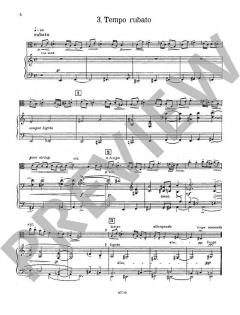 Thema mit Variationen von Hans-Klaus Langer (Download) 