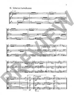 Cinque momenti musicali von Hans-Klaus Langer (Download) 