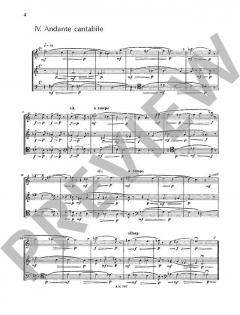 Cinque momenti musicali von Hans-Klaus Langer (Download) 