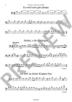 Weihnachtslieder in sangbaren Tonarten von Kanz, Joseph (Download) 