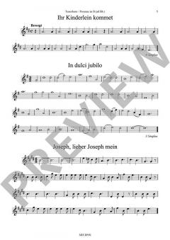 Weihnachtslieder in sangbaren Tonarten von Kanz, Joseph (Download) 