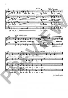 Drei Liedmotetten Wk 272 Nr. 3 von Wolfgang Stockmeier (Download) 