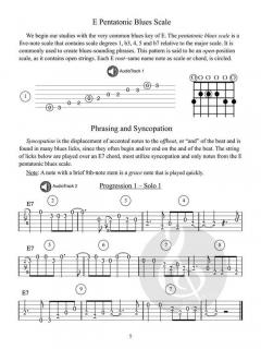 600 Smokin' Blues Guitar Licks von Eddie Collins 