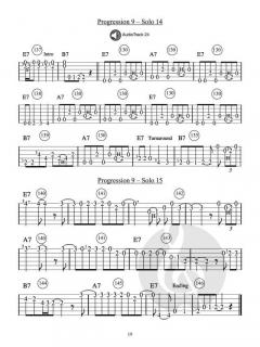 600 Smokin' Blues Guitar Licks von Eddie Collins 