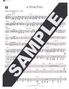 Aebersold Vol.102 Sound Advice von Jerry Bergonzi 