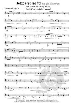 Jetzt erst recht! von Gottfried Hummel 