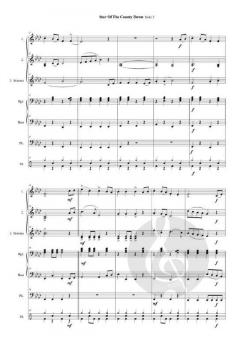 Star Of The County Down 