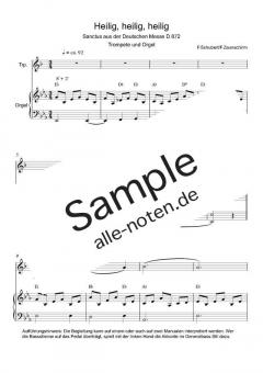 Zum Sanctus (Heilig, heilig) von Franz Schubert (Download) 