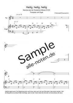 Zum Sanctus (Heilig, heilig) von Franz Schubert (Download) 