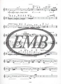 Variazioni (Miklos Kocsar) 