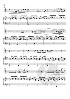 Ave Maria von Franz Schubert (Download) 