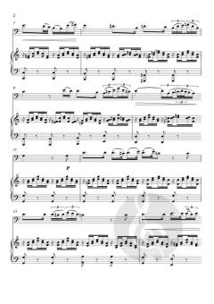 Ave Maria von Franz Schubert (Download) 