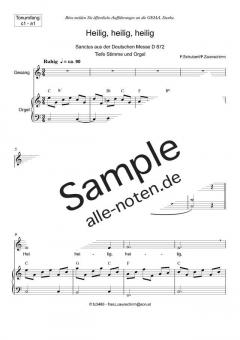 Zum Sanctus (Heilig, heilig) tief von Franz Schubert (Download) 