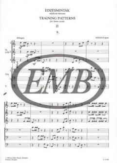 Training Patterns 2 (Frigyes Hidas) 
