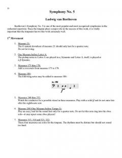 The Nine Beethoven Symphonies von Gerald Carlyss 