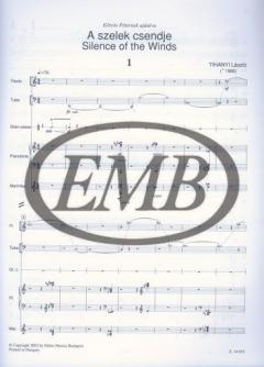 Silence of the Winds von Laszlo Tihanyi 