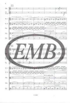 Picture Postcard from Holland (Janos Vajda) 