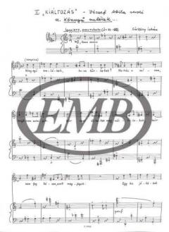 Sok gondomközt 2 von Leo Weiner 