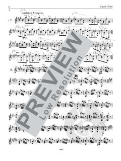 Llobet Guitar Works Vol.13 - Sor: Works & Studies von Fernando Sor 