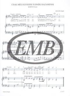 Die besten ungarischen volkstümlichen Lieder 3 