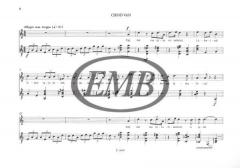 Guitar Songs von Ferenc Farkas 