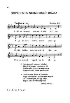 Tiszan Innen, Dunan Tul 