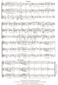 Szentivánéji út (Miklos Kocsar) 