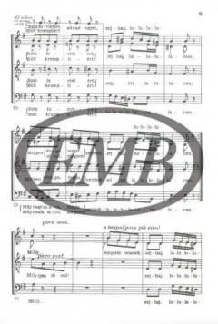 Becskereki menyecske (Lajos Bardos) 