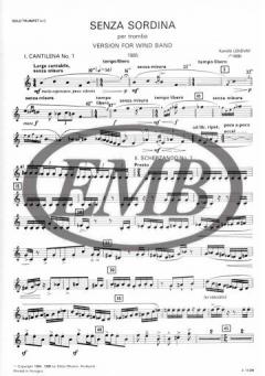 Senza Sordina (Kamillo Lendvay) 