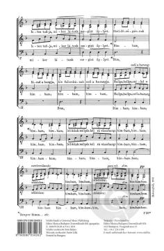 Tábortûznél (Lajos Bardos) 