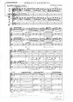 Transylvanian Lament (Zoltan Kodaly) 