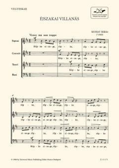 Éjszakaivillanás (Miklós Mohay) 