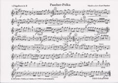 Pascher-Polka 