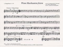 Wenn Musikanten feiern 