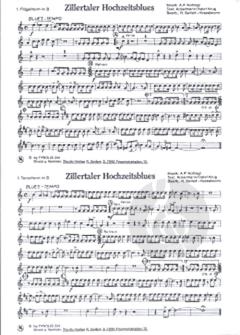 Zillertaler Hochzeitsblues 