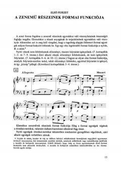 Elemzo formatan von Zoltan Gardonyi 