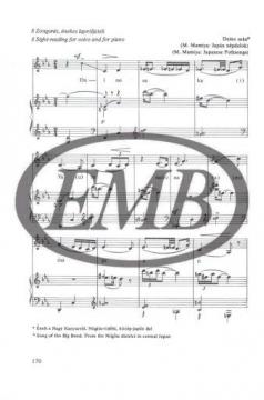 Musical Reading and Writing von Erzsebet Szonyi 