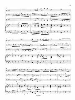 Suite in c-Moll BWV 997 (J.S. Bach) 