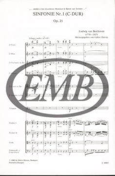 Symphony No. 1 in C major von Ludwig van Beethoven 
