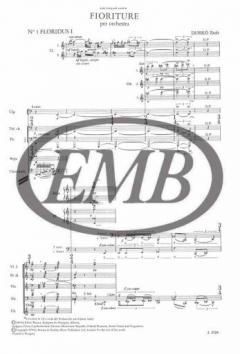 Fioriture zenekarra von Zsolt Durko 