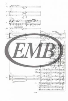 Fioriture zenekarra von Zsolt Durko 